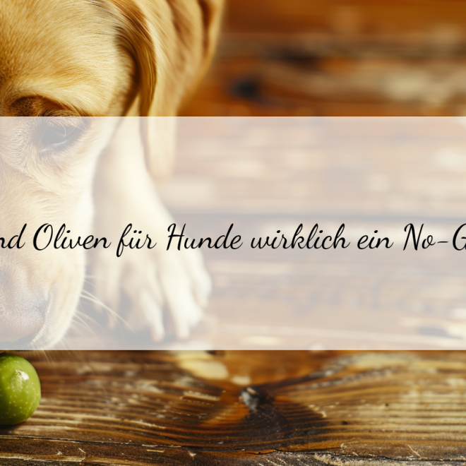 Dürfen Hunde Oliven essen? Wie viel ist zu viel für deinen Vierbeiner?