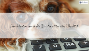 Wie viel kostet mein Hund wirklich? Der ultimative Hundekosten-Rechner für Deutschland