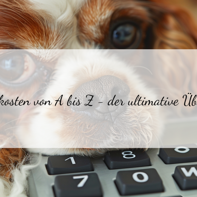 Wie viel kostet mein Hund wirklich? Der ultimative Hundekosten-Rechner für Deutschland
