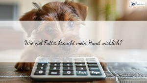 Wie viele Kalorien braucht mein Hund? Der ultimative Kalorienbedarf-Rechner für Hunde