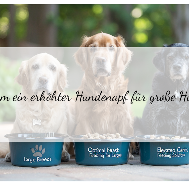 Erhöhter Hundenapf groß: Die besten Modelle für große Hunde
