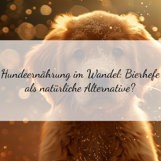 Hefe für Hunde: Gesunde Nahrungsergänzung oder Mythos?