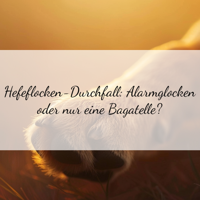Hefeflocken-Durchfall: Wann solltest du zum Tierarzt?