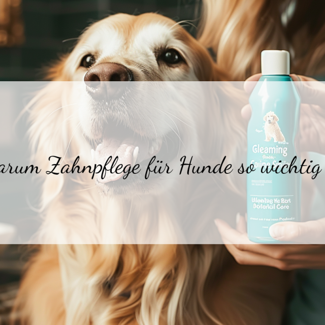 Hunde Zahnpflege Test: Die besten Produkte für strahlend weiße Hundegebisse