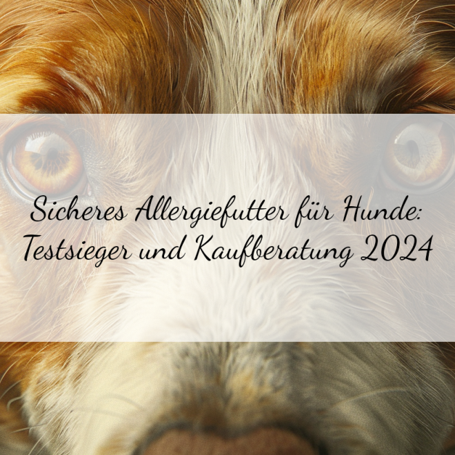 Hypoallergene Hundefutter Test