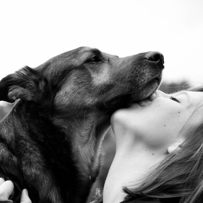 Royal Canin Labrador Retriever Adult 5+ (12 kg) Test