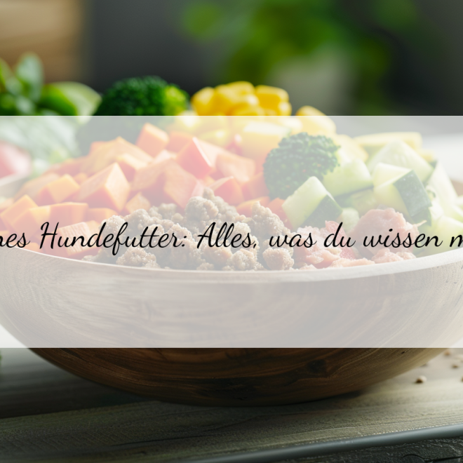 Veganes Hundefutter Test