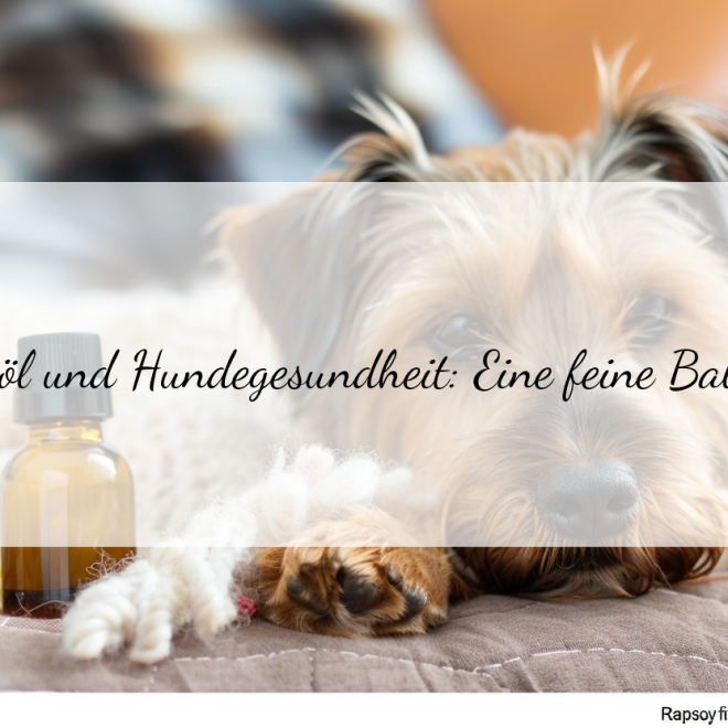 Wie viel Rapsöl ist wirklich gut für Hunde?