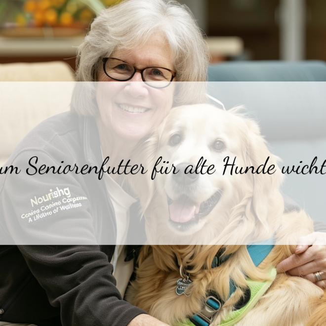 Seniorenfutter für Hunde: Die besten Nährstoffkombinationen für ein langes Hundeleben