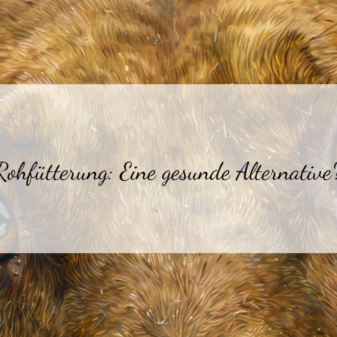 Barfen für Hunde: Vorteile und Nachteile im Überblick