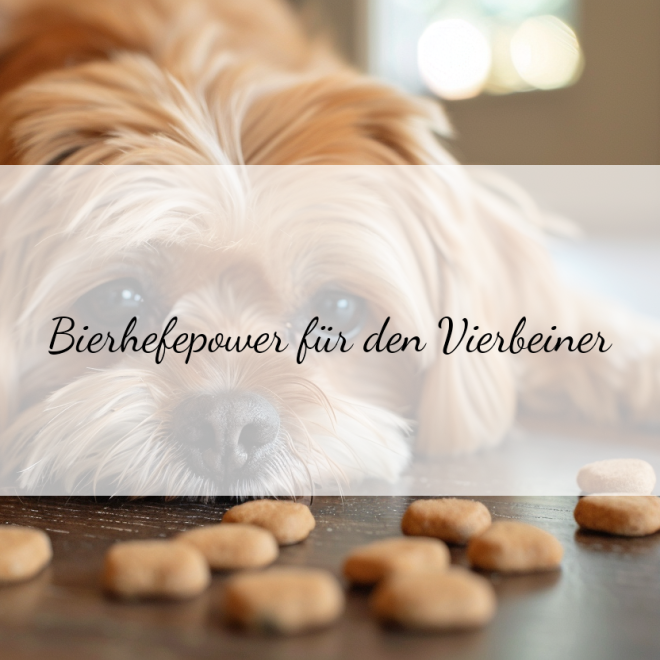 Bierhefe-Tabletten für Hunde: Die richtige Dosierung für ein gesundes Fell