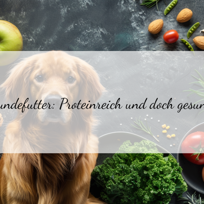 Der richtige Proteinbedarf in Hundefutter: Tipps für gesunde und vitale Vierbeiner