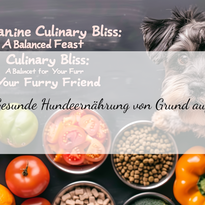 Fütterungsroutinen optimieren: Wie du deinen Hund gesund und glücklich ernährst