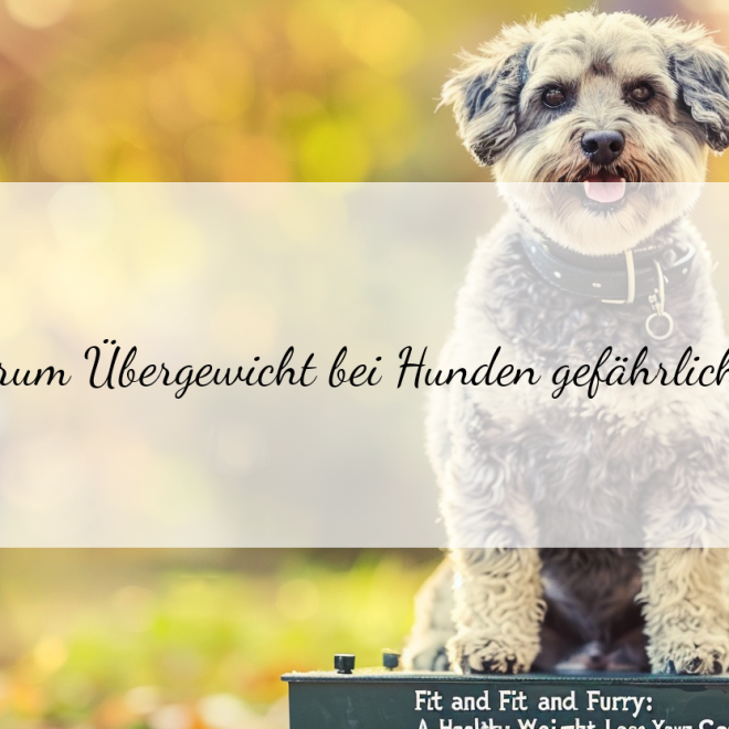 Hund Gewichtsreduktion Plan: Gesunde Tipps für ein schlankes Hundeleben
