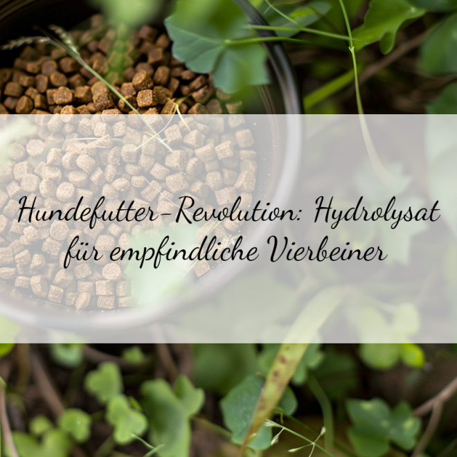 Hydrolisiertes Hundefutter: Die gesunde Alternative für empfindliche Vierbeiner