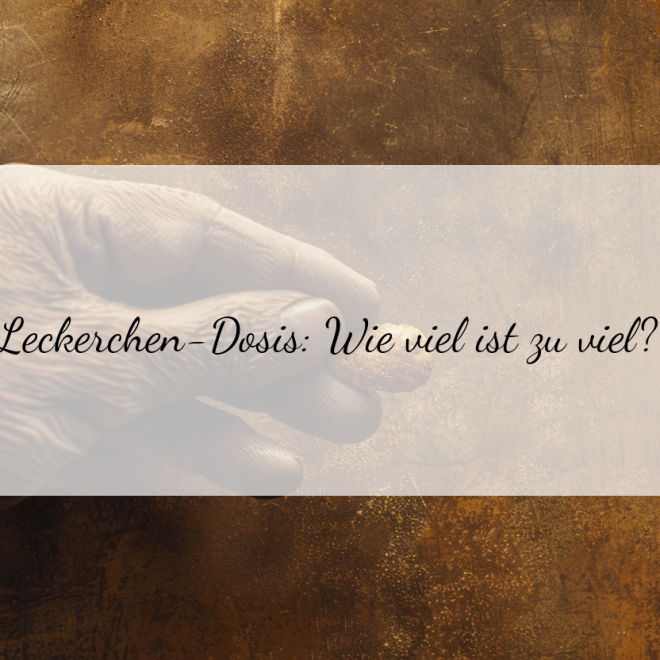 Leckerli-Tagesration: So viel darf dein Hund wirklich haben