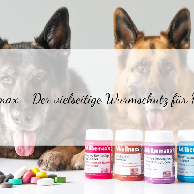 Milbemax für Hunde: Sichere Anwendung und Tipps für eine effektive Entwurmung