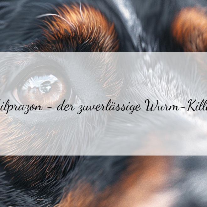 Milprazon Wirkungsweise: Wie der Wurmkur-Wirkstoff Hunde von Parasiten befreit