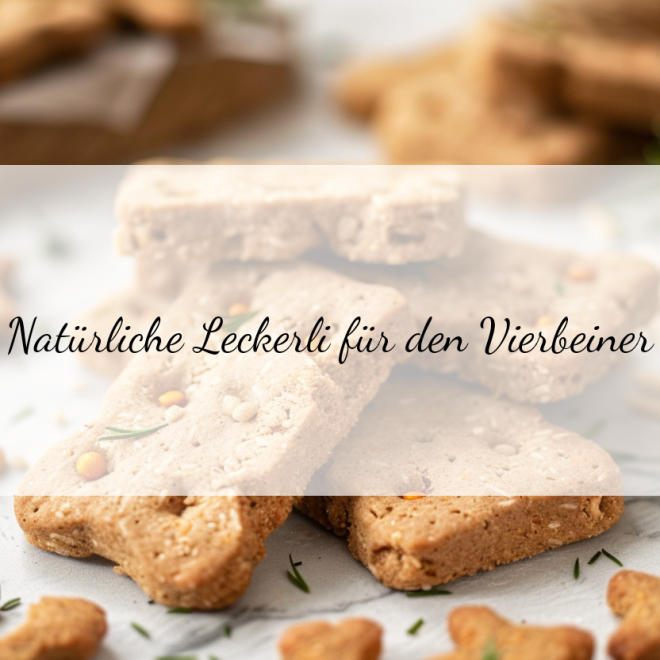 Natürliche Konservierungsmittel für Hundeleckerli – Sicher und gesund für deinen Vierbeiner