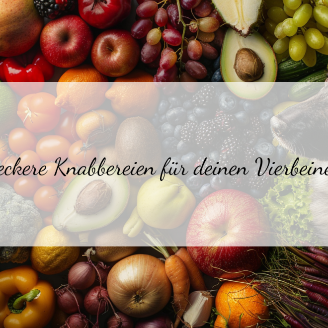 Obst und Gemüse als gesunde Leckerlies für deinen Vierbeiner