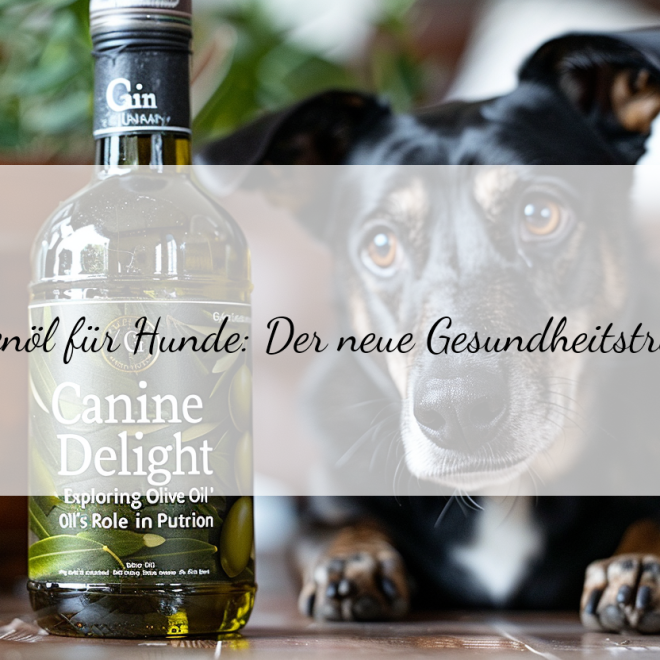 Olivenöl für Hunde: Gesunde Nahrungsergänzung oder unnötige Modenachfolge?