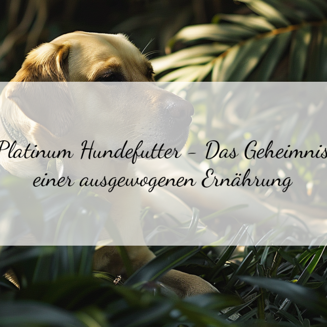 Platinum Hundefutter: Die wertvollen Inhaltsstoffe für Ihren Vierbeiner