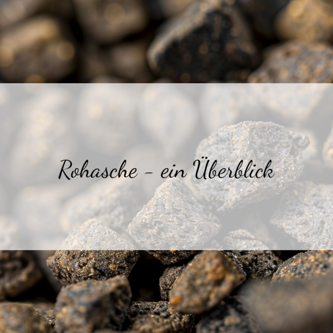 Rohasche im Hundefutter: Wichtiger Nährstoff oder überflüssiger Zusatz?