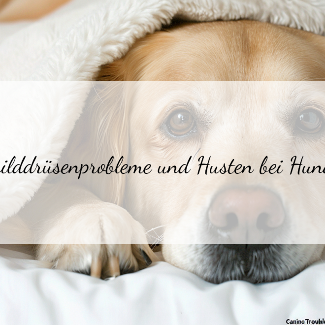 Schilddrüsenbedingte Hustenprobleme bei Hunden: Ursachen, Symptome und Behandlungsmöglichkeiten