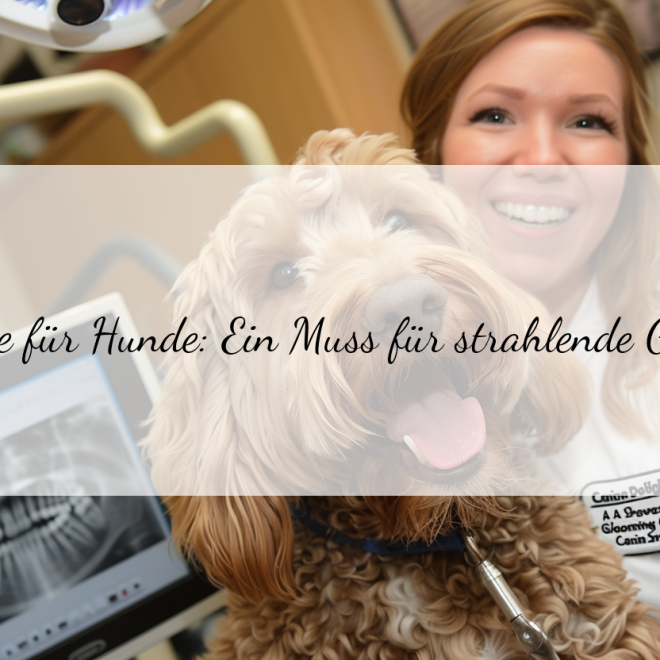 Zahnpflege für Hunde: Die besten Produkte für strahlend weiße Zähne