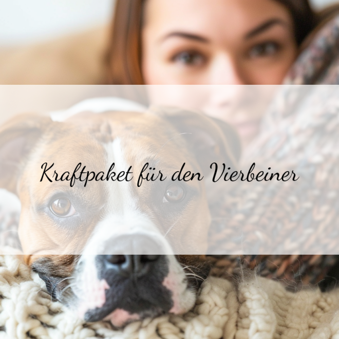 Canine Booster: Anwendungstipps für eine gesunde und vitale Hundepflege