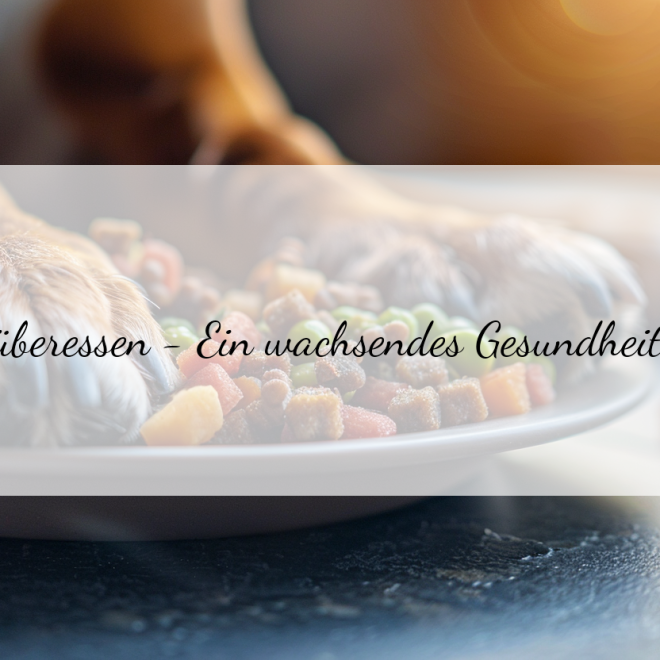 Hund überessen: Präventionsstrategien für eine gesunde Ernährung