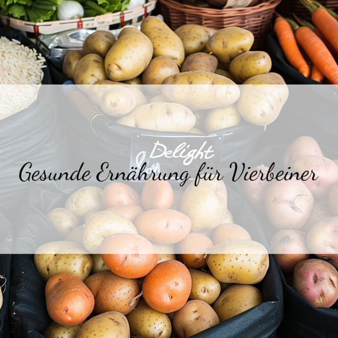 Kartoffel-Reis-Diät für Hunde: Eine gesunde Alternative für übergewichtige Vierbeiner