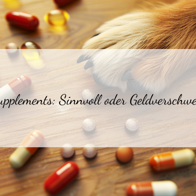 Nahrungsergänzung für Hunde: Sinnvoll oder nur Geldverschwendung?