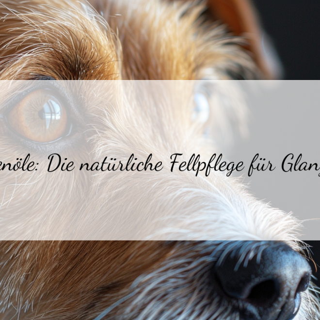 Öl für welpiges Fell: Natürliche Pflege für einen gesunden Glanzhaar-Look