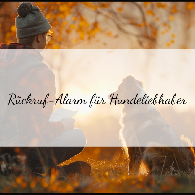 Rückruf-Aktionen bei Hundefutter: Was Hundebesitzer wissen müssen
