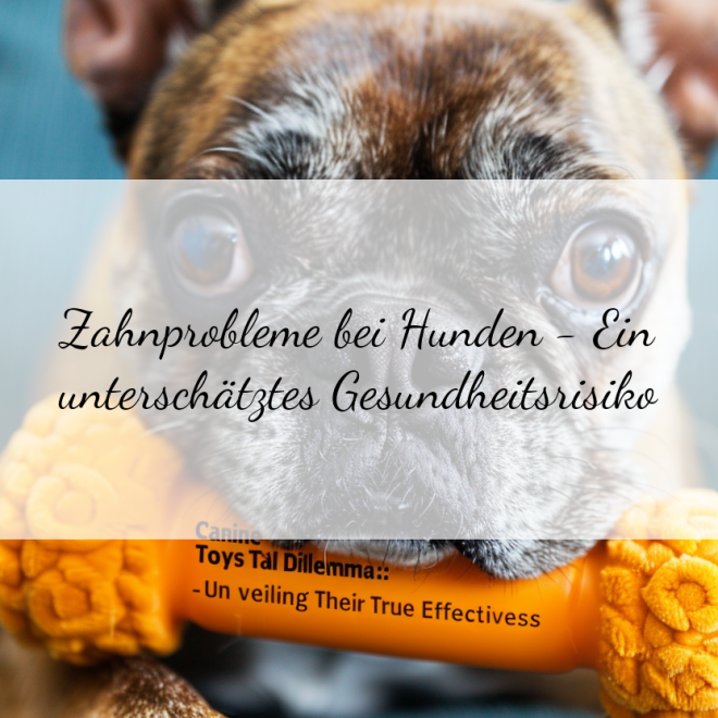 Zahnpflege für Hunde: Kauartikel auf dem Prüfstand – Wie wirksam sind sie wirklich?
